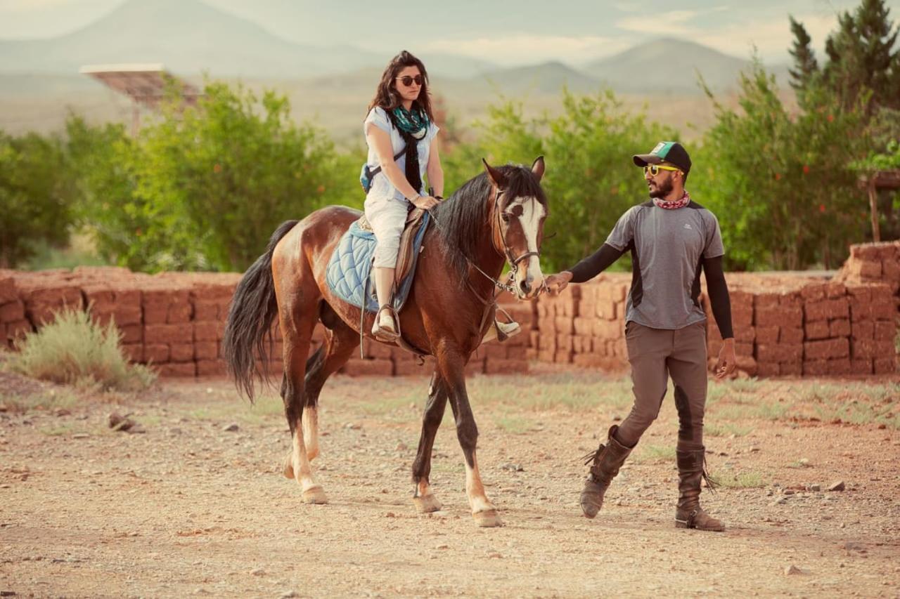 Ecolodge L'Ile De Ouarzazate Eksteriør billede