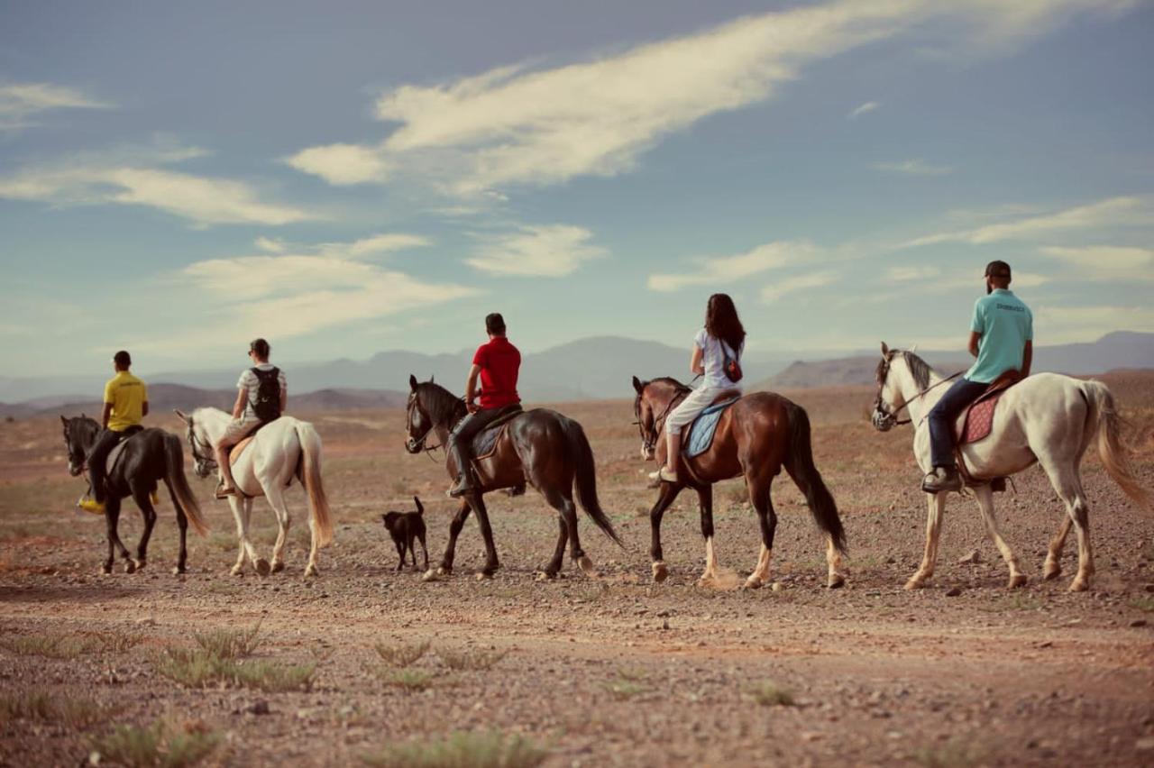 Ecolodge L'Ile De Ouarzazate Eksteriør billede