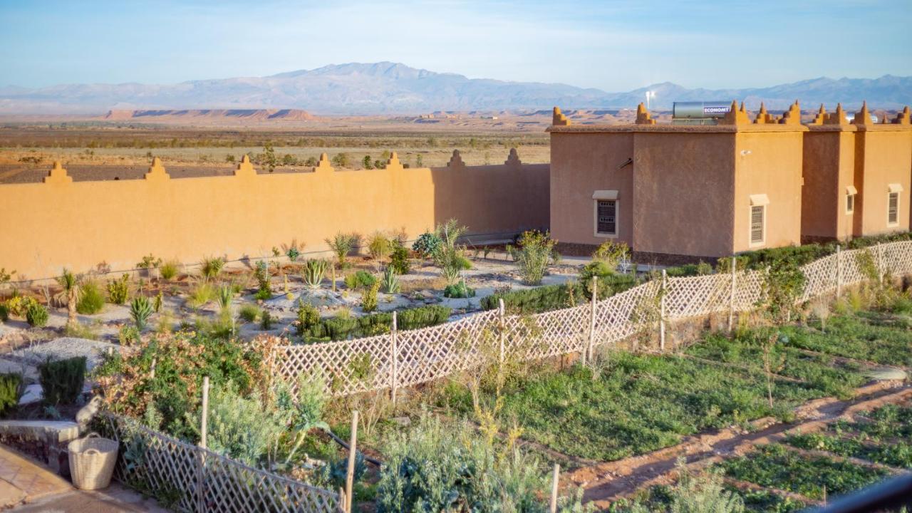 Ecolodge L'Ile De Ouarzazate Eksteriør billede