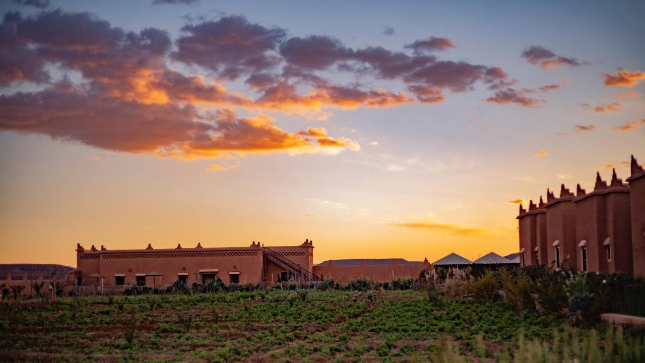 Ecolodge L'Ile De Ouarzazate Eksteriør billede